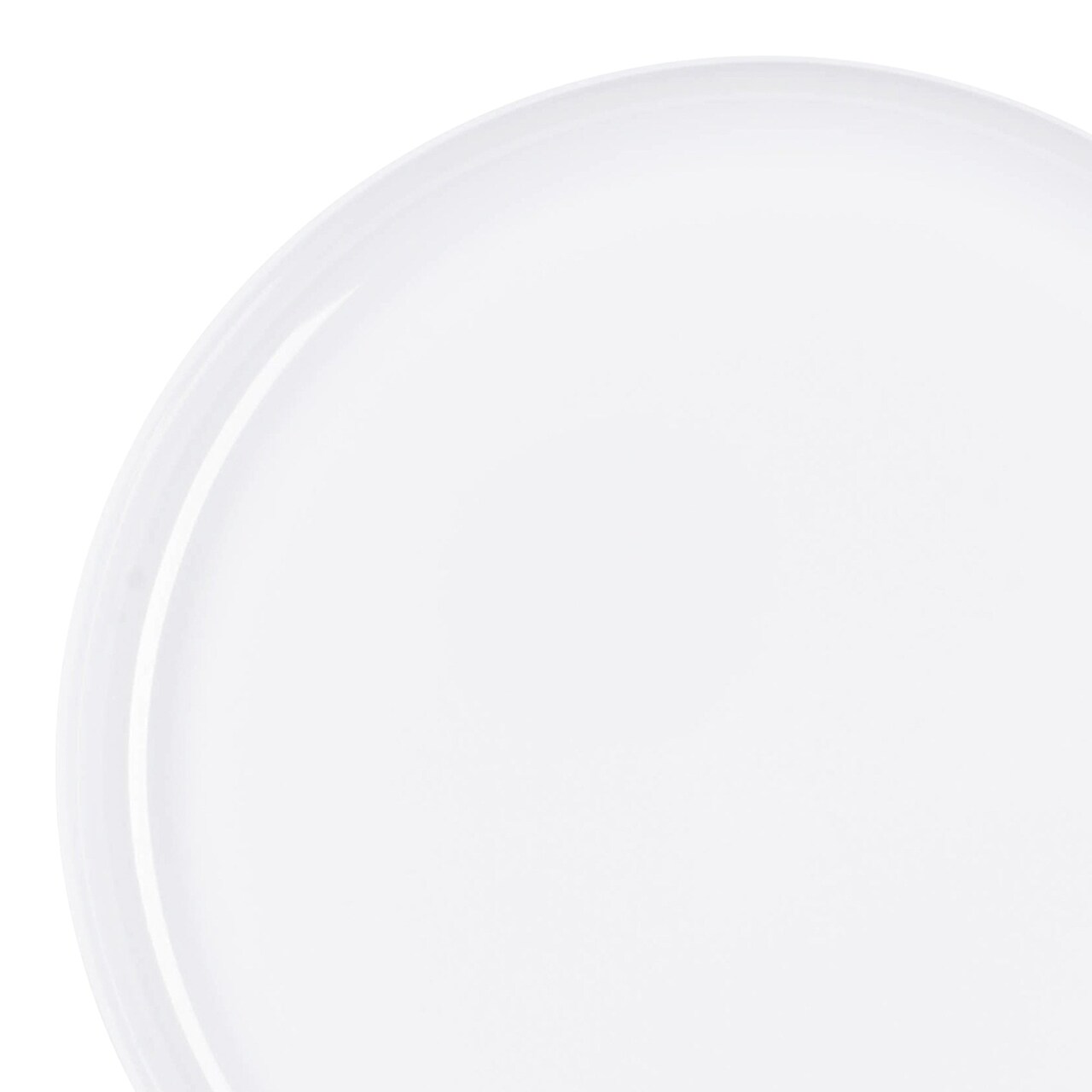 White Flat Round Disposable Plastic Dinner Plates - 10" (120 Plates)